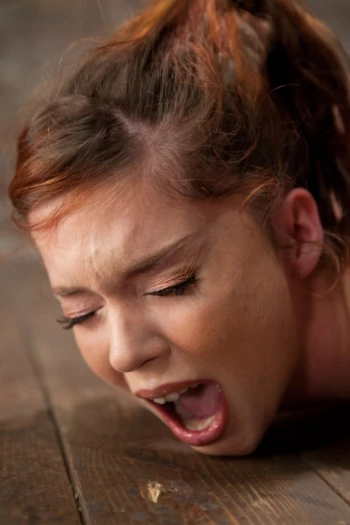 Gwiazda porno Jessi Palmer